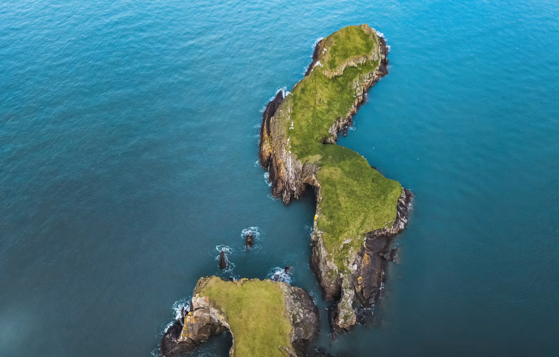 guia de salina 