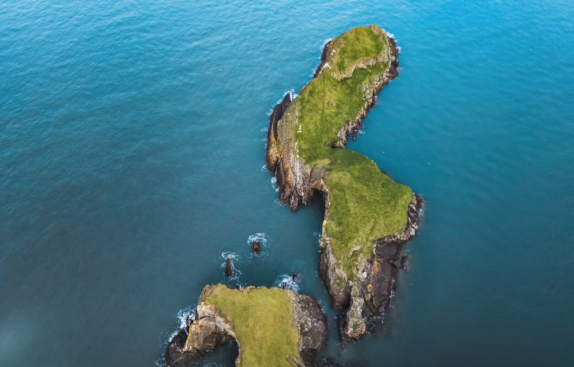 guia de salina 