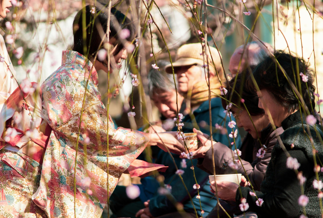 Itinerario Japón 10 días: de Tokio a Kioto en primavera