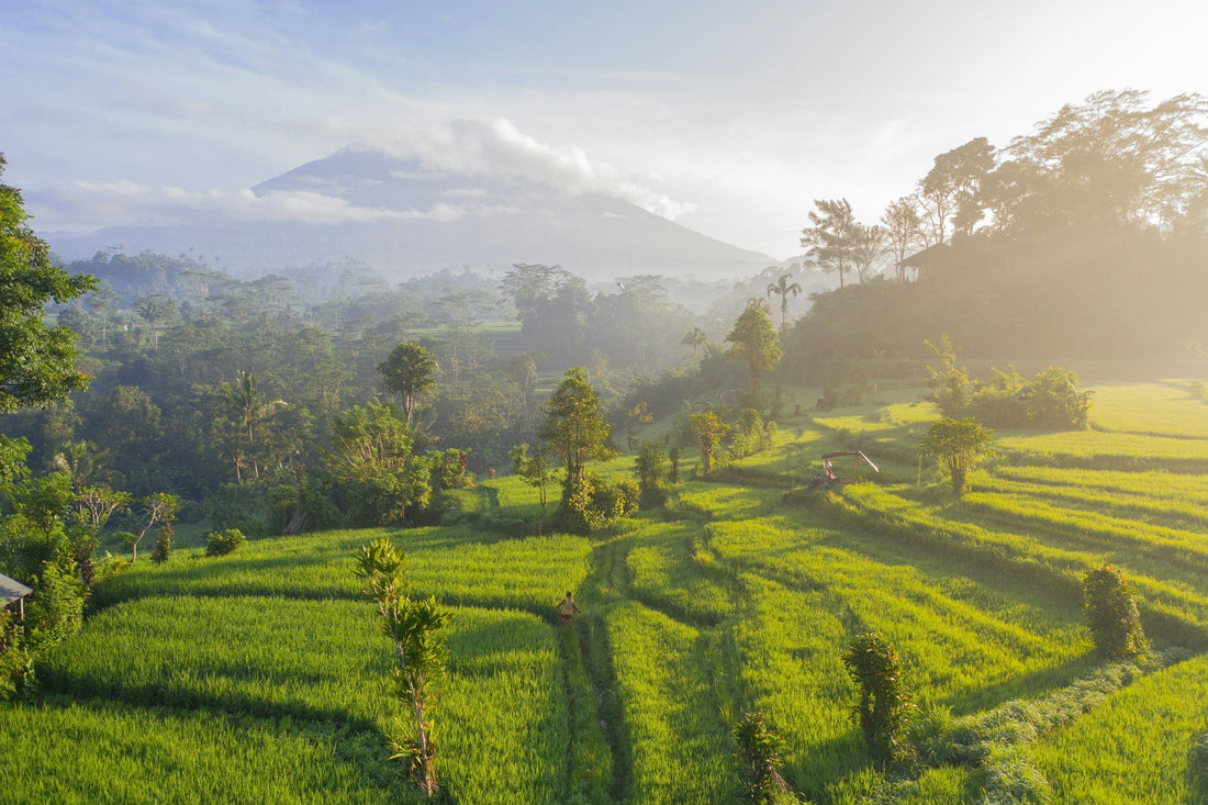 Itinerario visitar Bali en 10 días